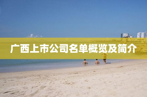 广西上市公司名单概览及简介