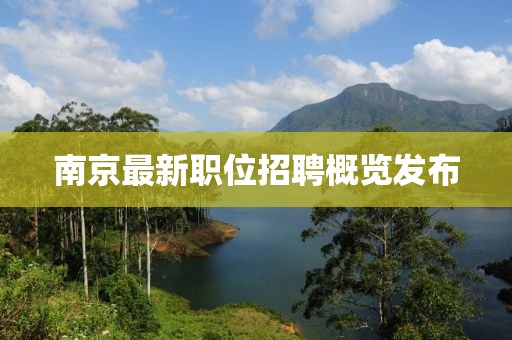 南京最新职位招聘概览发布