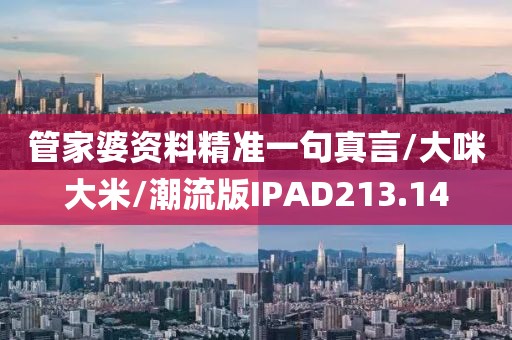 管家婆资料精准一句真言/大咪大米/潮流版IPAD213.14