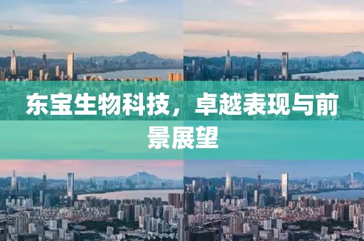 东宝生物科技，卓越表现与前景展望