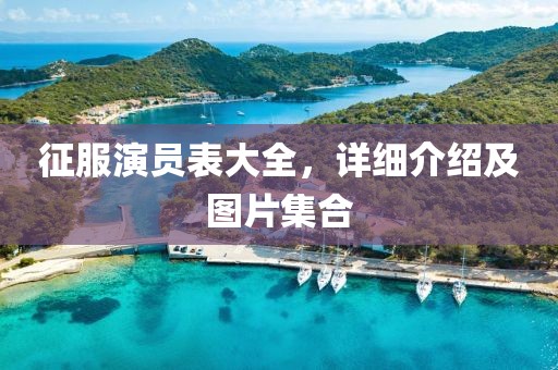 征服演员表大全，详细介绍及图片集合