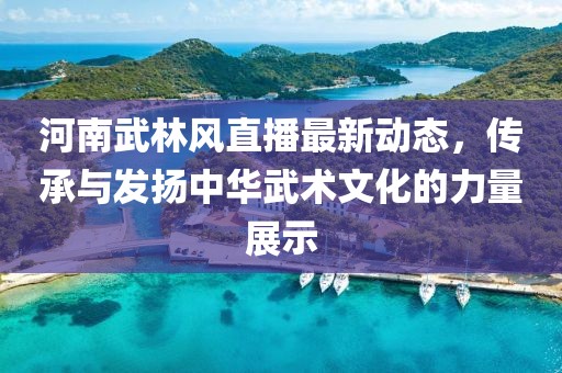 河南武林风直播最新动态，传承与发扬中华武术文化的力量展示