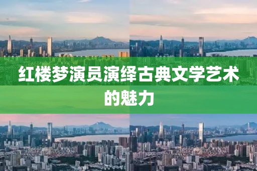 红楼梦演员演绎古典文学艺术的魅力