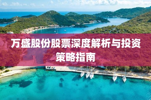 万盛股份股票深度解析与投资策略指南