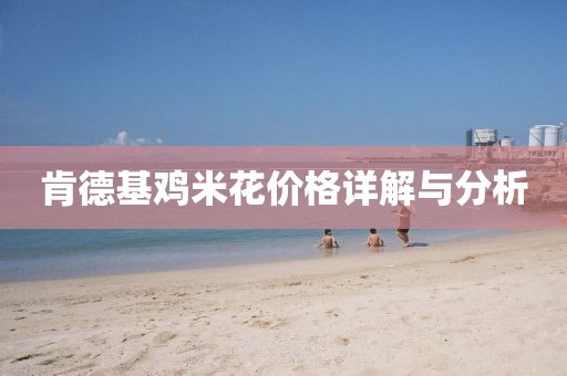 肯德基鸡米花价格详解与分析