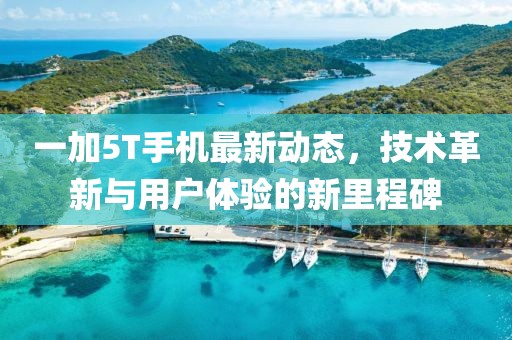 检阳州 第4页