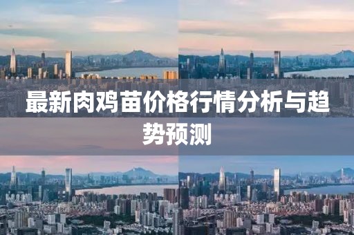 最新肉鸡苗价格行情分析与趋势预测