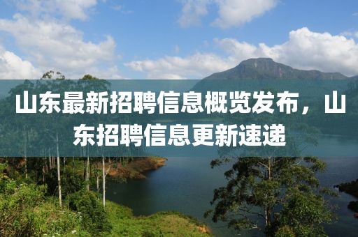 山东最新招聘信息概览发布，山东招聘信息更新速递