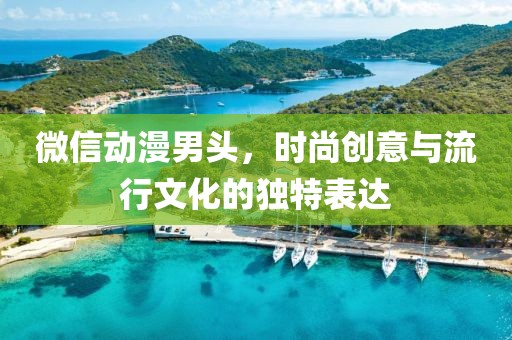 微信动漫男头，时尚创意与流行文化的独特表达