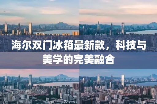 海尔双门冰箱最新款，科技与美学的完美融合