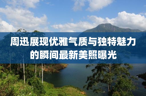 周迅展现优雅气质与独特魅力的瞬间最新美照曝光