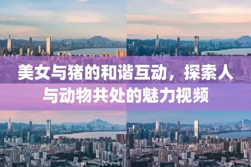 美女与猪的和谐互动，探索人与动物共处的魅力视频
