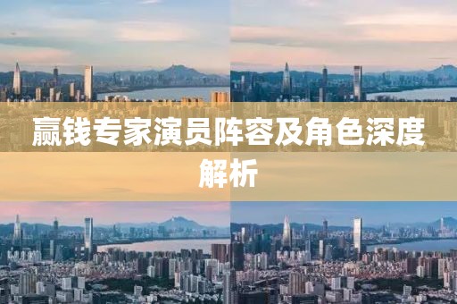 赢钱专家演员阵容及角色深度解析