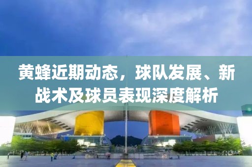 黄蜂近期动态，球队发展、新战术及球员表现深度解析