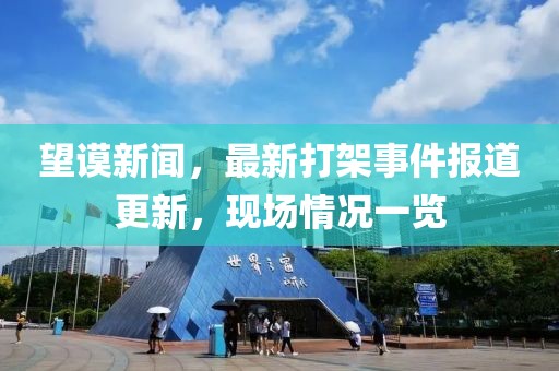望谟新闻，最新打架事件报道更新，现场情况一览