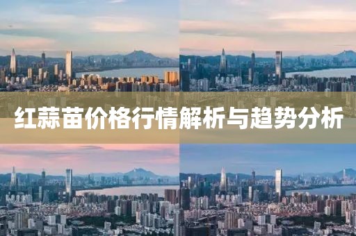 红蒜苗价格行情解析与趋势分析