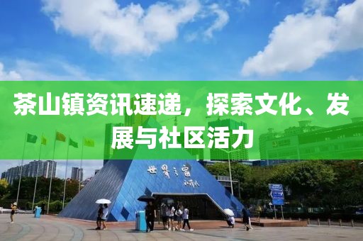 衡向松 第3页