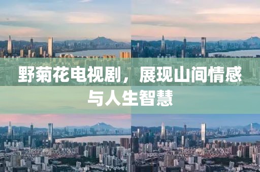 野菊花电视剧，展现山间情感与人生智慧
