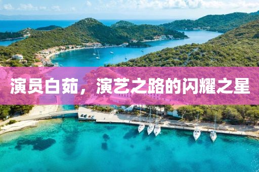 演员白茹，演艺之路的闪耀之星