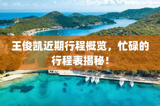 王俊凯近期行程概览，忙碌的行程表揭秘！