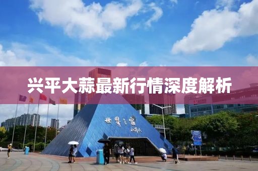 兴平大蒜最新行情深度解析