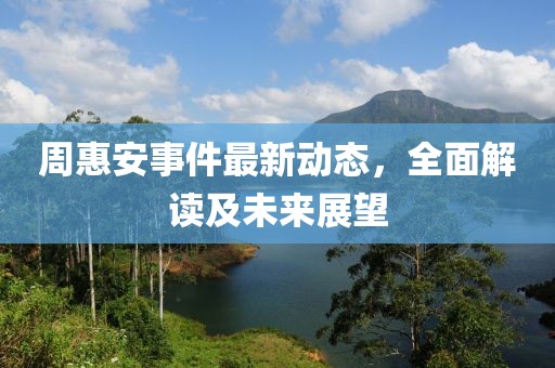周惠安事件最新动态，全面解读及未来展望