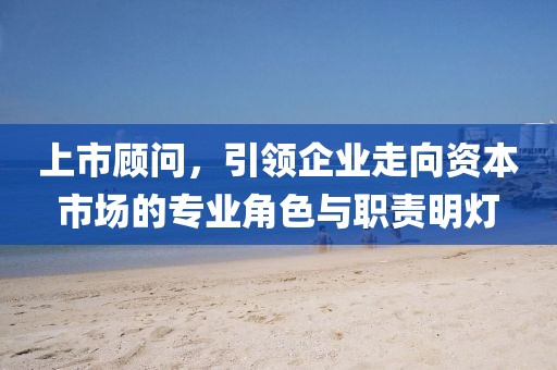 上市顾问，引领企业走向资本市场的专业角色与职责明灯