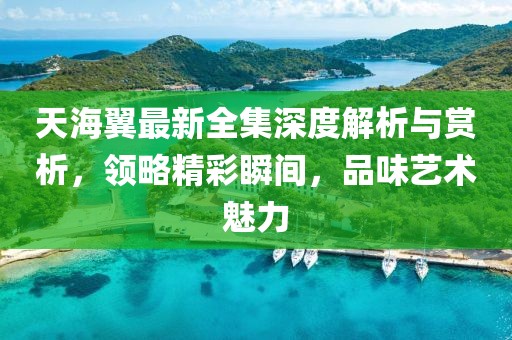 天海翼最新全集深度解析与赏析，领略精彩瞬间，品味艺术魅力