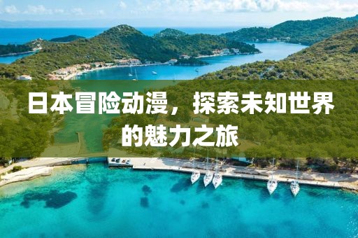 日本冒险动漫，探索未知世界的魅力之旅