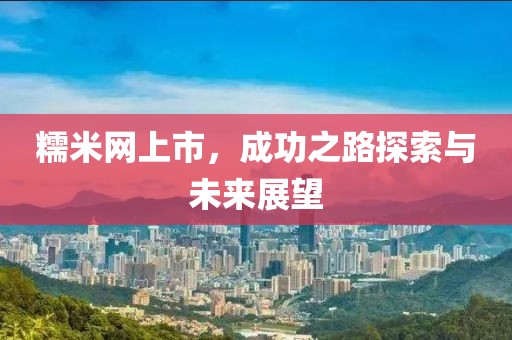 糯米网上市，成功之路探索与未来展望