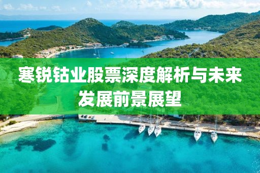 寒锐钴业股票深度解析与未来发展前景展望