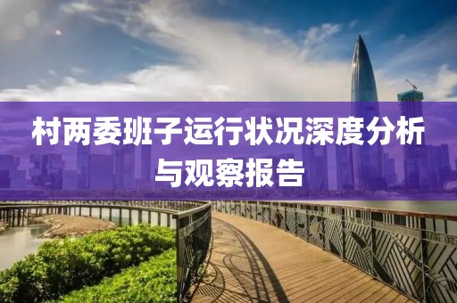村两委班子运行状况深度分析与观察报告