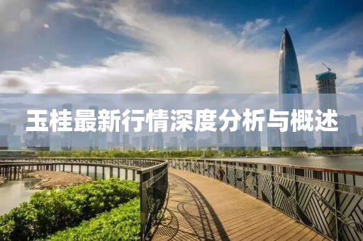 玉桂最新行情深度分析与概述