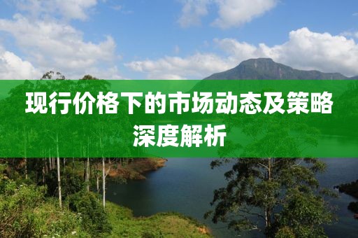 现行价格下的市场动态及策略深度解析