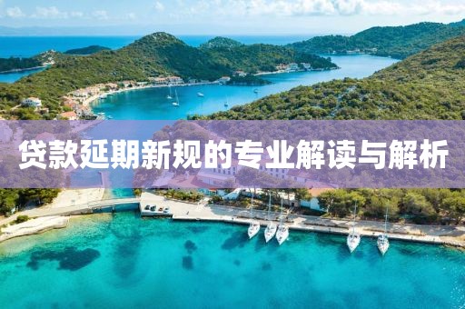贷款延期新规的专业解读与解析
