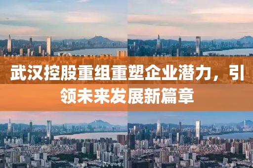 武汉控股重组重塑企业潜力，引领未来发展新篇章