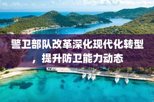 警卫部队改革深化现代化转型，提升防卫能力动态