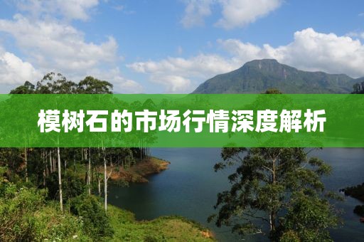 模树石的市场行情深度解析