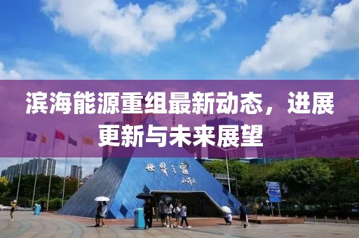 滨海能源重组最新动态，进展更新与未来展望