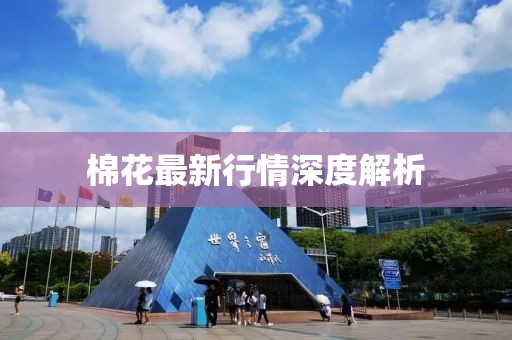 棉花最新行情深度解析