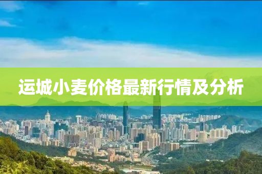 运城小麦价格最新行情及分析