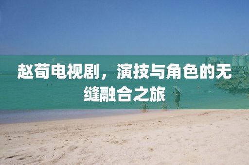赵荀电视剧，演技与角色的无缝融合之旅