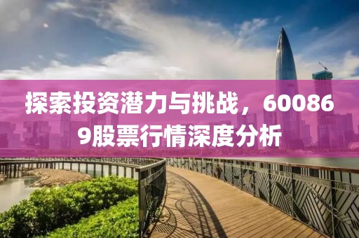 探索投资潜力与挑战，600869股票行情深度分析