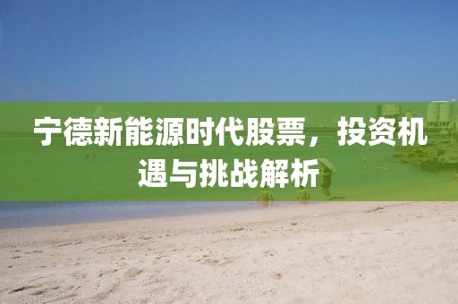 宁德新能源时代股票，投资机遇与挑战解析