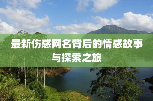 最新伤感网名背后的情感故事与探索之旅