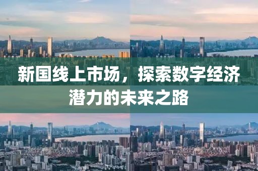新国线上市场，探索数字经济潜力的未来之路