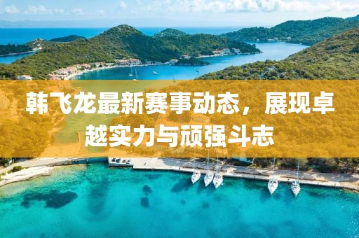 韩飞龙最新赛事动态，展现卓越实力与顽强斗志