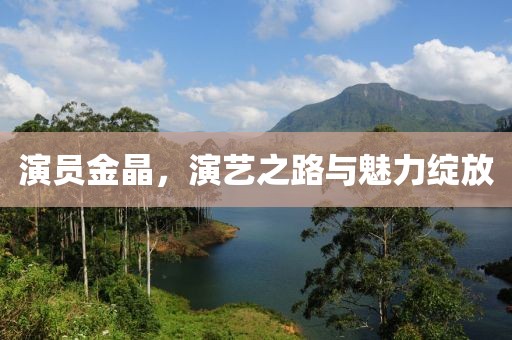 演员金晶，演艺之路与魅力绽放