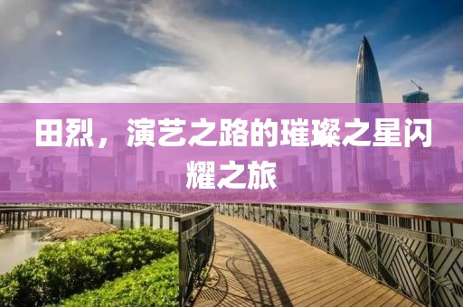 田烈，演艺之路的璀璨之星闪耀之旅