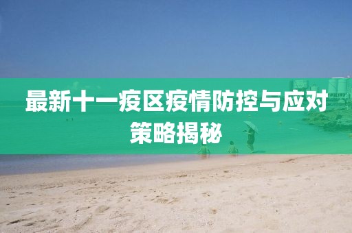 最新十一疫区疫情防控与应对策略揭秘